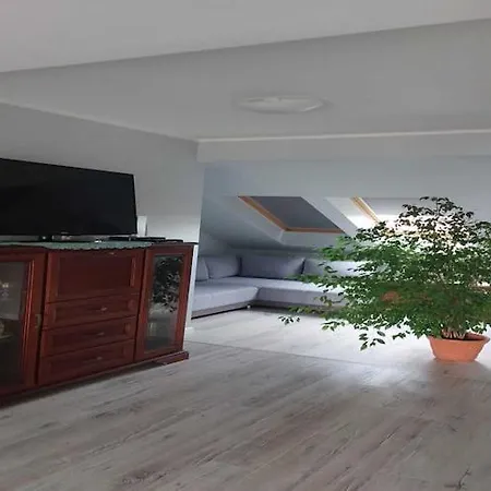 In Near Monte Cassino Street 索波特