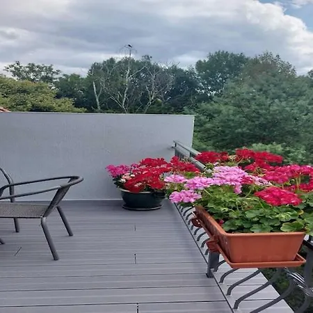 In Near Monte Cassino Street 索波特