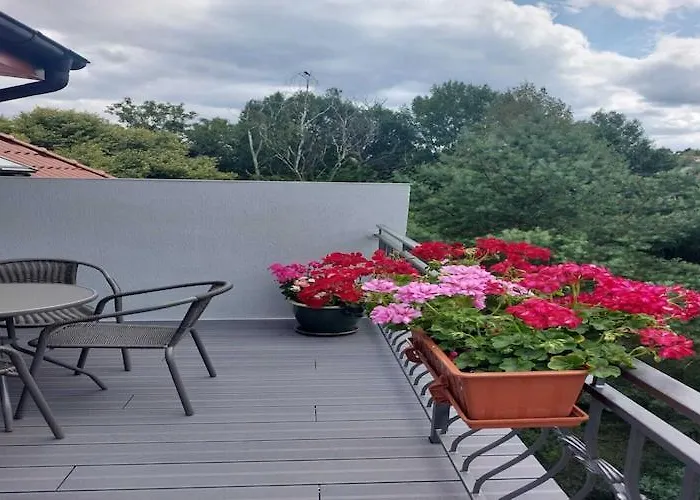 In Near Monte Cassino Street 소포트